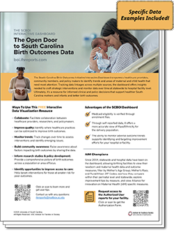 Thumbnail image of Dashboard Overview PDF. Downloadable on click.